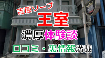 【2024年最新情報】東京・吉原のソープ”王室”での濃厚体験談！料金・口コミ・NN/NS情報を網羅！のサムネイル画像