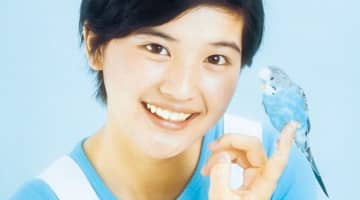 桜田淳子の年齢や誕生日は？現在は宗教？長男・長女や夫は？復帰の噂！のサムネイル画像