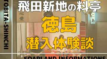 飛田新地の料亭”徳島”の潜入体験談！NN/NS情報・料金・遊び方を紹介！【2026年】のサムネイル画像