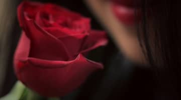 オナニーしたいけどクリトリスが痛くてできない！間違ったオナニーが原因かも？のサムネイル画像