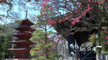 山梨県の神社・お寺別に御朱印をご紹介！自然との調和が美しい神社仏閣まとめ！のサムネイル画像