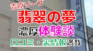 【2024年最新情報】東京・吉原のソープ"翡翠の夢"での濃厚体験談！料金・口コミ・おすすめ嬢・本番情報を網羅！のサムネイル画像