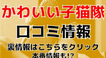 【体験談】高崎・前橋のデリヘル"かわいい子猫隊"は美少女と本番あり？料金・口コミ・本番情報を公開！のサムネイル画像