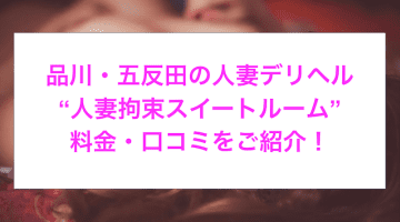 【裏情報】品川・五反田の人妻デリヘル”で若妻に三連発！料金・口コミを公開！のサムネイル画像