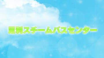 【足利ソープ】足利スチームバスセンターの潜入体験談！生本番できるか徹底調査！【NN/NS】のサムネイル画像