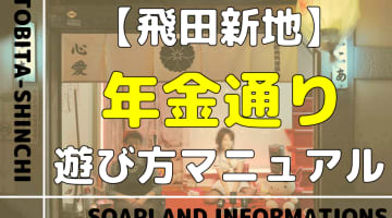 飛田新地の年金通りを徹底解説！料金やNN/NS情報を紹介！のサムネイル画像