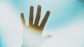 エロ線とは？エロ線の見方や意味を写真付きで紹介！のサムネイル画像