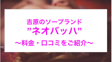 【裏情報】吉原のソープランド“ネオバッハ”はNN/NSあり？！料金・口コミを公開！のサムネイル