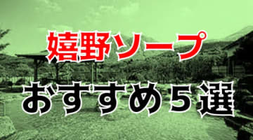 NN/NS可能？佐賀・嬉野・嬉野温泉のソープ5店を全13店舗から厳選！【2024年】のサムネイル