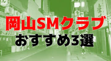 岡山のおすすめSMクラブ3店を全15店舗から厳選！のサムネイル