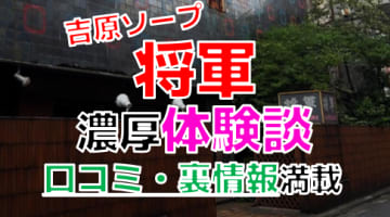 【2024年最新情報】東京・吉原のソープ"将軍"での濃厚体験談！料金・口コミ・おすすめ嬢・本番情報を網羅！のサムネイル画像