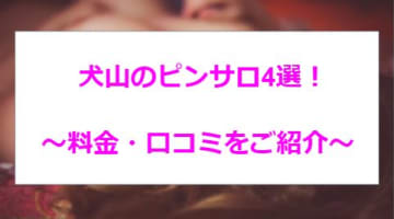 【変態レポ】犬山のおすすめデリヘル4選！濃厚サービス･ピチピチの10代が多い！のサムネイル画像