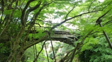 石川・加賀温泉郷の4大エリアはここ！それぞれのおすすめ旅館・日帰り温泉をご紹介！のサムネイル画像