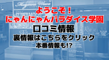 【裏情報】松山のヘルス”ようこそ！にゃんにゃんパラダイス学園”はパネマジ詐欺一切なし！料金・口コミを公開！のサムネイル画像