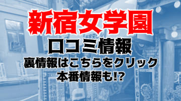 【体験レポ】イメクラ”新宿女学園”で禁断の痴漢プレイ！料金・口コミを紹介！のサムネイル画像