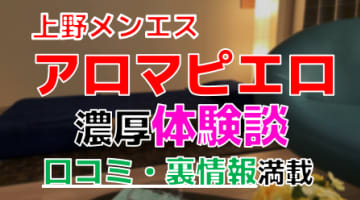 【2024年最新情報】東京・上野のメンズエステ"アロマピエロ"での濃厚体験談！料金・口コミ・抜き情報を網羅！のサムネイル画像