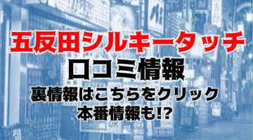 【体験レポ】五反田のデリヘル"シルキータッチ"Yちゃんは乳首舐め最高！料金・口コミを公開！のサムネイル画像