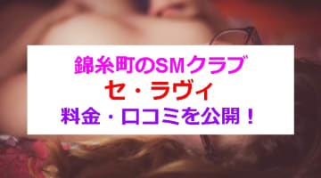 錦糸町のSMクラブ”セ・ラヴィ”で満足度の高いSM体験！料金・口コミを公開！のサムネイル画像