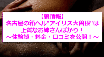 【裏情報】名古屋の箱ヘル”アイリス大曽根”で若妻相手に大放出！料金・口コミを公開！のサムネイル画像