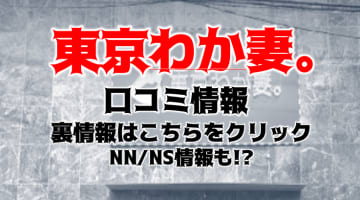 【体験レポ】川崎堀之内のソープ"東京わか妻(旧クラブアネモネ)"はNS/NN可能？料金・口コミを公開！のサムネイル画像