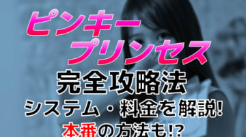 【体験レポ】舞鶴のデリヘル“ピンキープリンセス”でメンヘラ系美少女に絞られた！料金・口コミを公開！のサムネイル画像