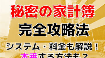 【体験談】中野の人妻性感デリヘル”秘密の家計簿”で酒池肉林！料金・口コミを大公開！のサムネイル画像