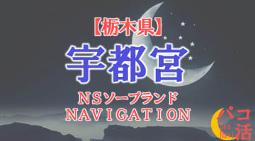  【宇都宮】栃木の全ソープランドをNN/NS・S着店に分けて紹介！のサムネイル画像
