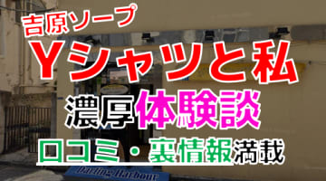東京・吉原のソープ"Yシャツと私（旧ダーリングハーバー）"でNN/NS交渉！エロすぎる体験談を暴露！【2025年】のサムネイル