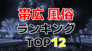 北海道・帯広のおすすめ風俗・人気ランキングTOP12！【2024年最新】のサムネイル画像