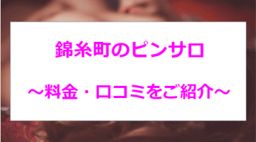 【体験談】錦糸町のおすすめピンサロ6選！ゆうちゃみ似のフェラ！のサムネイル画像