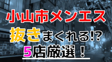 【2024年抜き情報】栃木県小山市で実際に遊んできたメンズエステ5選！本当に抜きありなのか体当たり調査！のサムネイル画像