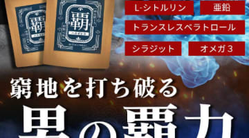 精力剤"覇-ハタガシラ‐"で精力・持続力が爆上がり！？詳細情報・口コミ・3か月の体験談を公開！のサムネイル画像