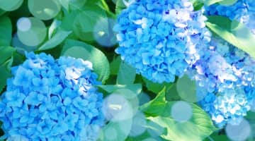 ハーレムセックスの過激体験談を暴露！実現させるコツは？のサムネイル画像