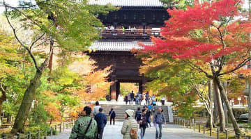 京都ファン中級者向け『京都の寺』特集！ワンステップ上の京都めぐりを大公開！のサムネイル画像