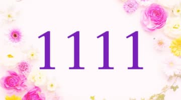 【愛の伝道師が解説】1111のエンジェルナンバーが持つ意味と効果！恋愛運・仕事運への影響も紹介！のサムネイル画像