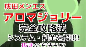 【2024年新店】千葉・成田のメンズエステ”アロマジョリー成田店”は抜きあり？料金・口コミを公開！のサムネイル画像