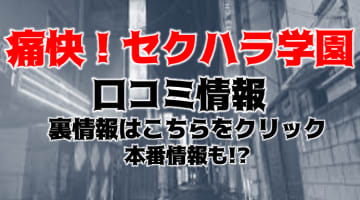 【裏情報】赤羽のデリヘル”痛快!!セクハラ学園”は6種類のイメージプレイを選べる！料金・口コミを公開！のサムネイル画像