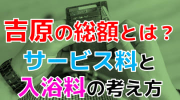 【元吉原ソープ嬢が解説】吉原の総額は？入浴料金とは？遊ぶ時には注意すること！のサムネイル