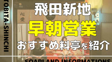 【早朝営業】飛田新地のおすすめ料亭8選！【NN/NS情報】のサムネイル