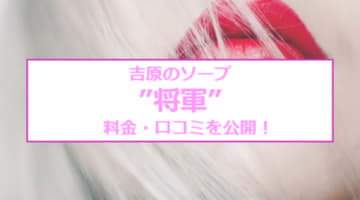 【裏情報】吉原の超高級ソープ"将軍"の潜入体験談！総額・口コミを公開！【2025年】のサムネイル画像