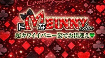 【2026年最新】名古屋・柴田のヘルス”ドMなバニーちゃん柴田店”での濃厚体験談！料金・口コミ・おすすめ嬢・本番情報を網羅！のサムネイル画像