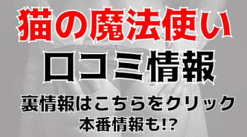 【体験レポ】高松のご奉仕アロマ"猫の魔法使い(旧猫の宅急便)"で子猫ちゃんとエッチ！料金・口コミを公開！のサムネイル画像