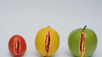 迷ったらオナホは貫通型がおすすめ！テンガじゃ出来ないこんな使い方も！のサムネイル