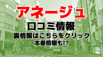 【体験談】銀座の高級ホテヘル"アネージュ"は人妻・若妻専門！料金・口コミを公開！のサムネイル画像