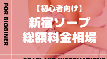 【新宿】ソープランドの総額料金相場とシステムを解説！おすすめ店をランク別に紹介！のサムネイル画像