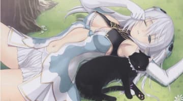 【エロ画像】シャイニング・ブレイドは同人誌でも人気！おすすめ作品やエロ画像が大充実！のサムネイル画像