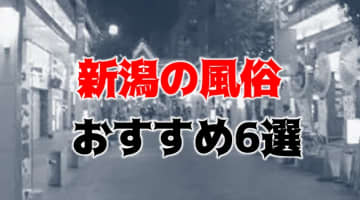 NS/NNあり？新潟のおすすめ風俗TOP6！カワイイ嬢が抜きまくられて本番も!?のサムネイル画像