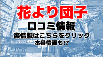 【裏情報】西船橋のセクキャバ"花より男子"は最強のルックスレベル！料金・口コミを公開！のサムネイル画像