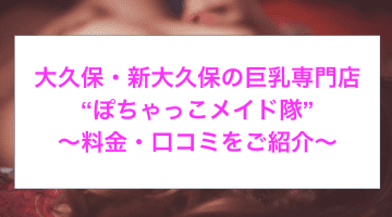 【裏情報】大久保・新大久保の巨乳専門店ホテヘル＆デリヘル”ぽちゃっこメイド隊”の料金・口コミを公開！のサムネイル画像