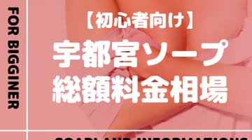 【宇都宮】ソープランドの総額料金相場とシステムを解説！おすすめ店をランク別に紹介！のサムネイル画像